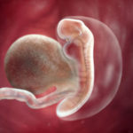 Bebelusul-in-sacul-amniotic